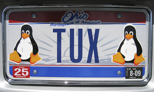 Cul es la distribucin Linux ms popular en servidores web?