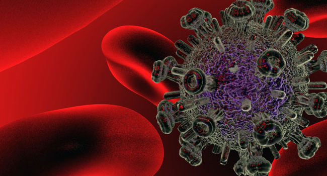 La vacuna espaola MVA-B contra el VIH logra un 90% de respuesta inmune
