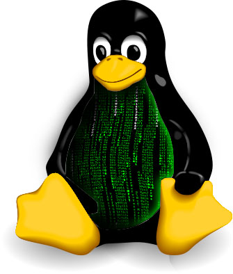 Ya disponible Linux 2.6.38 con rendimiento mejorado